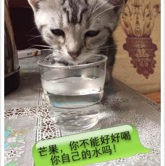 支付宝不动产证是什么